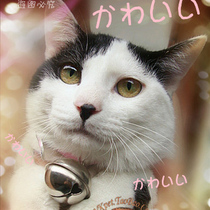 Japanese cat uncle cat bell pet bell cat toy dog collar pet toy high quality cat and dog bell