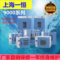 Shanghai Yiheng DHG-9015A 9035A 9055A 9075A Electric Electric Blast