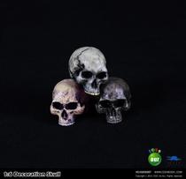 (Physical spot)COOMODEL 1:6 SCENE DECORATION BONE SKULL SKULL SKULL OLD