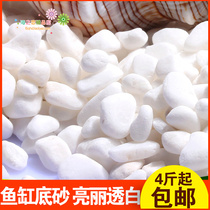 Natural white stone fish tank bottom sand landscaping White Jade succulent plant ornaments paving garden landscaping flower pot full