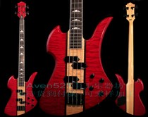 Customer customizes B C Richs (know more birds) YJ-3 electrobex AH20