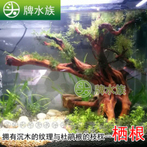 Vietnam natural flow sink wood-branch type boutique habitat root Natural flow wood water plant fish tank landscaping root