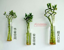 Creative transparent wall hanging vase rich bamboo flowers hanging wall wall vase small fresh hydro plant furniture vase