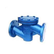 Jiangsu Xie Valve Lined Fluorine Check Valve H41F46 Lifted Lifting Check Valve Corrosion Resistance Check Valve