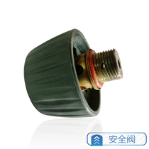 Willpower Pressure Type Steam Electric Iron Special Accessories Safety Valve Electric Iron Accessory