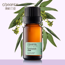 OPlants Eucalypta Single Essential Oil 10ml Australian essential oil to remove yellow moisturize shrink pores and astringent skin