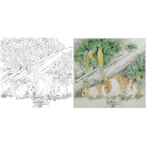  Gongbi painting white sketch manuscript Bitter gourd rabbit beginner line drawing white paper printing bucket square 66*66 with color map 360T