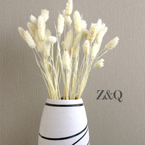  Natural dried flowers Dried flowers living room decoration vase flower arrangement shooting props grass j color white natural beauty grass