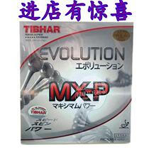  TIBHAR STRAIGHT EVOLUTION MX-P Change ENERGY Super Butterfly T64 Table TENNIS RUBBER