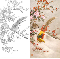 Meticulous painting white drawing draft Chen Jun four-foot pheasant 66*132 HD physical white paper printed manuscript with color picture 022T