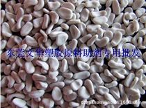 Injection molding PP filling Masterbatch Quanzhou factory filling master batch PP Special
