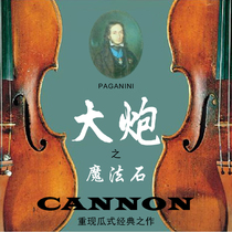 Taiwanese popular imported European Guanelli professional solo fir Maple playing adult pure handmade violin