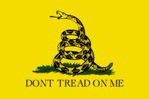Repeat Custom American History Flag Gadsden flag 90 * 150cm 3 * 5ft