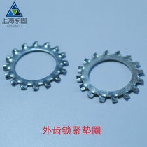 Factory direct GB T862 1-1987 galvanized external tooth lock washer (500 only)