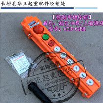 Direct COB-64BH rainproof driving control handle CD type with emergency stop button switch Crane switch