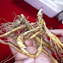 Wild Mountain Ginseng Gift Box with Certificate Wild Ginseng Wild Mountain Ginseng First-class product Changbai Mountain Millennium Ginseng Pruning Human Wukong Ginseng