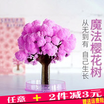 Magic Tree Kraft Paper Tree Flowering Christmas Tree Gives Girlfriend Friends Birthday Gift Valentine's Day Wishing Tree