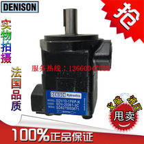 DENISON SDV20 1S9S 1S8S 1S7S 1S6S 11A 11B 11C 11D