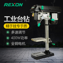 Taiwan REXON 250mm Desktop Bench Drill DP2500R