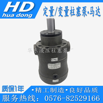Shaoyang Vik Shao liquid SY-10 25 40 63 80 160 250MCY14-1B-EL plunger pump motor
