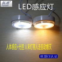 Ceiling-mounted LED wardrobe sensor light 220V corridor corridor sensor night light factory direct sale human body