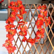 Simulation Flower Vine red maple leaf hanging vine simulation Red Maple rattan pipe decoration rattan simulation tree Vine Vine Vine