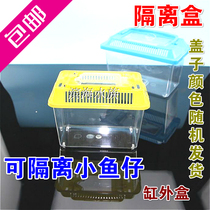 Aquarium cylinder Outer peacock juvenile fish hatchbox Isolation box Fighting Fish Box Isolation Net Breeding Box Trumpet