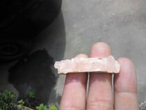 The grape ring is a string of rings.