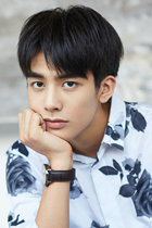 DIY character star photo cross stitch Song Weilong precision printing 24 inches can be customized 3