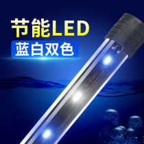 Fish tank aquarium LED fish tank light lighting aquarium light LED water grass light mini West dragon fish tank replacement light