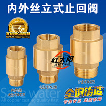 All copper inner and outer wire check valve water pipe water meter check back spring check valve vertical 46 minutes dn1520 inch