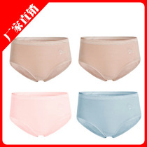 Three shots Dietz ladies and Lycra cotton briefs mid-waist elastic slim and breathable shorts Head 4