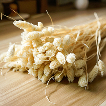 Pastoral style gem grass dry flower small bouquet natural bleaching process dried flower home dried flower arrangement art