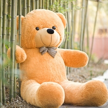 Genuine paparazzi plush teddy bear toy hugging bear 2 m 1 6 m large number of cloth dolls to send girl gifts
