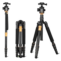 Light-mounted era Q666 SLR camera tripod portable monopod camera stand gimbal mobile phone tripod