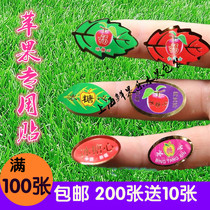 Special Grade Icing Sugar Hearts Fruits Stick Apple Tags Xinjiang Ice Candy Hearts Fruit Adhesive Labels Stickers Trademark