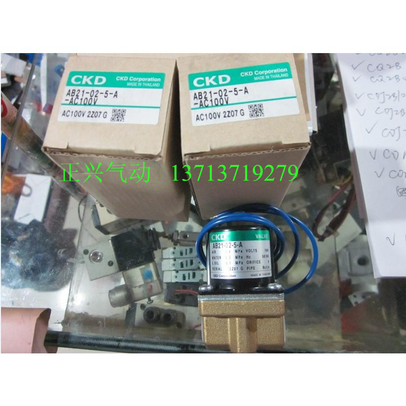  New original CKD solenoid valve AB21-02-5-A AC100V Delivery time: 20-30 days    