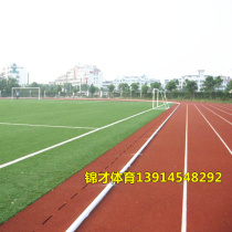Aluminum Alloy Dao Dental Field Ground Track Dental plastic runway Dentistry 400 m runway Dentistry