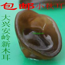 Northeast black fungus 250g Daxinganling small autumn ear small fungus rootless Autumn Bowl fungus