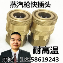 High pressure steam water gun quick plug gun head Hot water steam gun High temperature fast plug female head 2 points quick connector 1 4 nozzles