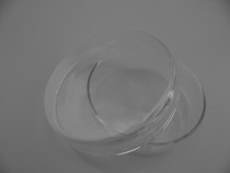 Petri dish Glass petri dish Bacterial petri dish 75mm