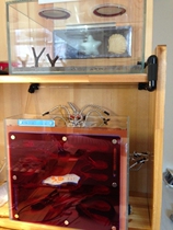 Ladder(Large) For personal use Not for sale