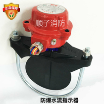 Explosion-proof water flow ZSJZ-III-PA explosion-proof water flow indicator DN80DN100DN150MM size