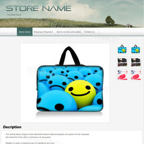 Dan Chi vision ebay listing outdoor universal description template product template ebay product introduction design