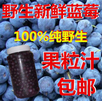 Wild blueberry fresh fruit Daxinganling without blueberry fruit blueberry puree 700g containing blueberry fruit grains