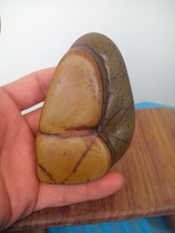 Kisty stone hand play Stone big fossil Big Bay stone pictographic stone water Chong strange stone hand play strange stone