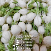 Fresh Jasmine Flowers flowers Every year 6-9 Flowers Each year extracts Jasmine flower pure dew floral material Special drying flowers