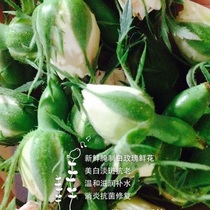 Fresh curing Bulgarian white rose flowers 2017 limited-sale whitening Pale Patches convergence antioxidant