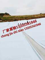 Composite geomembrane anti-seepage geotextile two cloth one film 300g800 gram artificial lake chemical reservoir impervious membrane