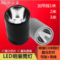 Led Ming fitting cylinder light round cob single light 20 W 30 W free of open pore chandelier wire barrel lamp shop clothing shop ceiling light